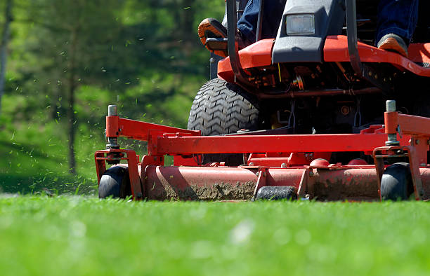 ride on lawn mower