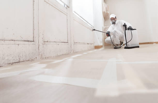 Mold remediation service: A professional worker spraying products to remove mold before house painting, clad in a protective suit and respirator mask, with a backpack sprayer at a home renovation site