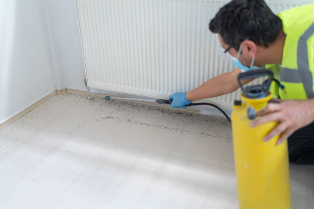 Male Worker Spraying Insecticide With Sprayer At Home